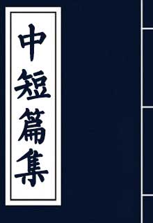 中短篇集